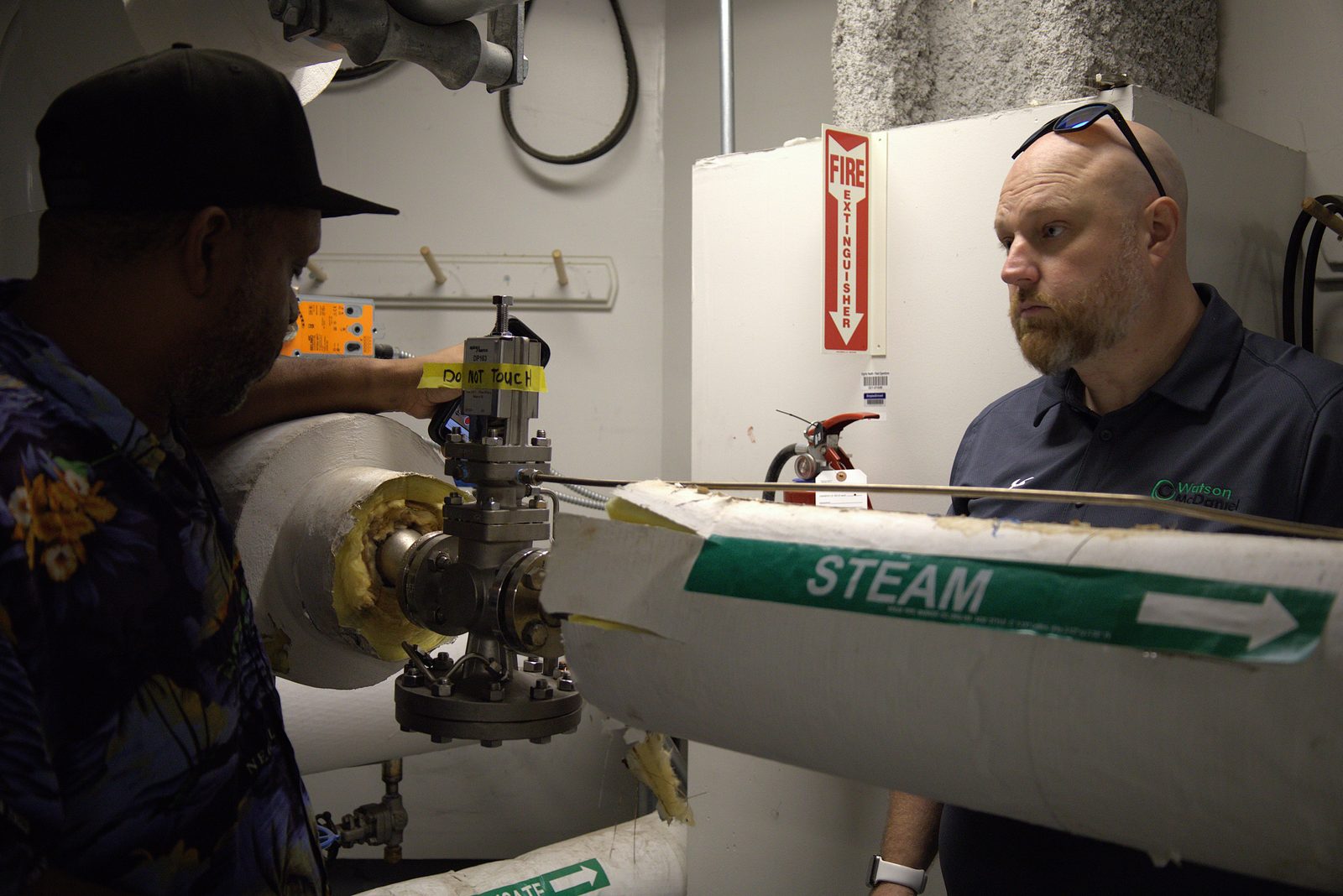 Steam system inspection